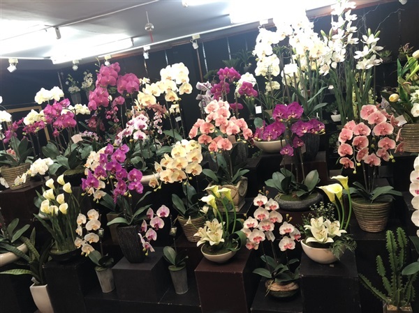 ร้านอัครดอกไม้ ,Akara Dokmaii 