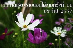 เทศกาลเชียงรายดอกไม้งามครั้งที่ 11 ประจำปี 2557  ระหว่างวันที่ 26 ธันวาคม 2557 ถึงวันที่ 14 กุมภาพันธ์ 2558 