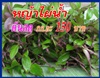 คลิกเพื่อดูสินค้า