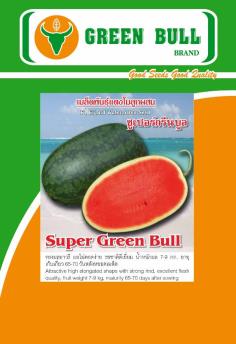 hat giong dua hau &quot;Super Green Bull&quot;