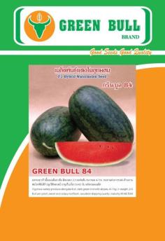watermelon seeds &quot;Green Bull 84&quot;