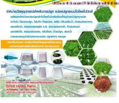 G.R.S Hydro Farm อุปกรณ์ระบบไฮโดรโปนิคส์