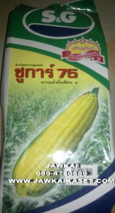 เมล็ดพันธุ์ข้าวโพดหวานน้ำผึ้งเดือน5 ชูการ์75 ตรา S&amp;G