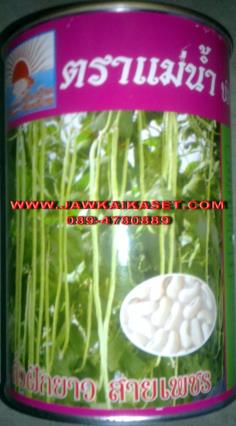 เมล็ดพันธุ์ถั่วฝักยาว เมล็ดขาว สายเพชร ตราแม่น้ำ