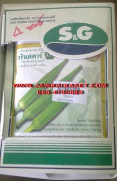 เมล็ดพันธุ์กระเจี๊ยบเขียว กรีนสตาร์ S&amp;G