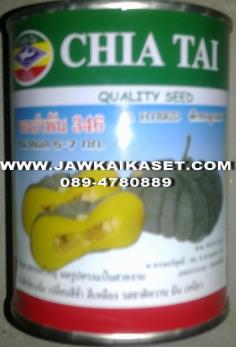 เมล็ดพันธุ์ฟักทอง ทองอำพัน 346 ตราเจียไต๋