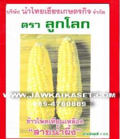 เมล็ดพันธุ์ข้าวโพดเทียนเหลือง สายน้ำผึ้ง ตราลูกโลก