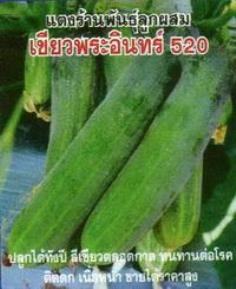 แตงร้าน