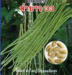 ถั่วฝักยาว(เมล็ดขาว)