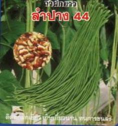 ถั่วฝักยาว(เมล็ดลาย)