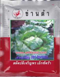 สลัดปลีเจริญพร-เอ็กซ์ตร้า