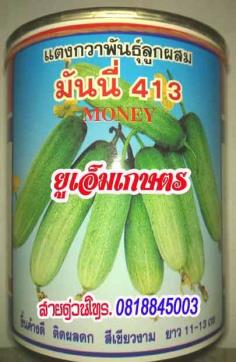 แตงกวา-มันนี่-413