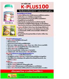 เค-พลัส100 [ K-PLUS100]