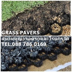 บล็อคพลาสติกปลูกหญ้า Turf Cell (Grass Paver)