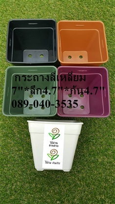 กระถางสี่เหลี่ยม 5.2&quot;  (tetragon-006)