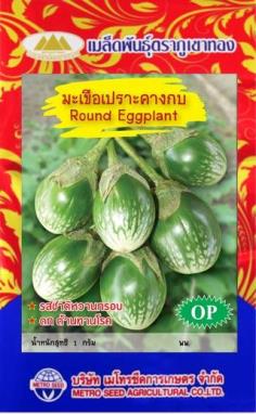 เมล็ดพันธุ์ มะเขือเปราะคางกบ