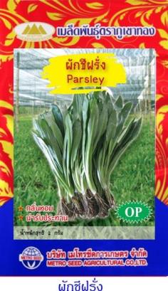 เมล็ดพันธุ์ผักชีฝรั่ง 