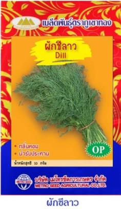เมล็ดพันธุ์ ผักชีลาว 
