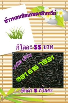 ข้าวหอมนิล