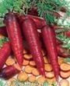 เมล็ดพันธุ์ Cosmic Purple Carrot