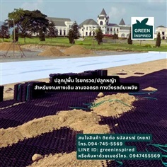 บล็อคพลาสติกปลูกหญ้า Turf Cell (Grass Paver)