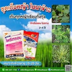 กำจัดวัชพืช ไพริตรอน+เอสซอร์  คูลเกษตร 24