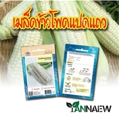 เมล็ดข้าวโพดแปดแถว 85 เมล็ด เจียไต๋ ซื้อ 10 แถม 1