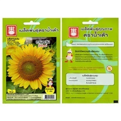 เมล็ดทานตะวัน บิ๊กโกลด์   เจียไต๋  ซื้อ 10 แถม 1