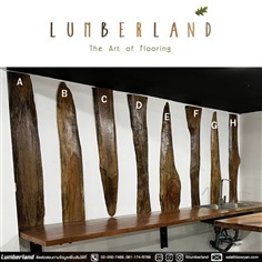 Lumberland : แผ่นไม้ยางนาตกแต่งผนังเคลือบคละแบบ