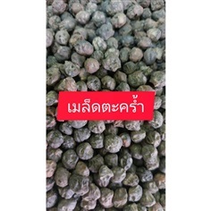 เมล็ดตะคร้ำสำหรับเพาะกล้า 10 เมล็ด100 บาท