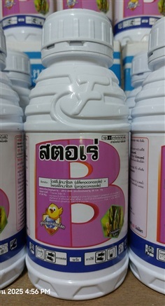 สตอเร่ ป้องกันกำจัดโรคเมล็ดด่างในข้าว