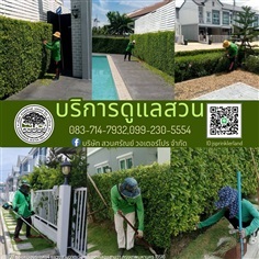 ดูแลสวนออกแบบจัดสวน