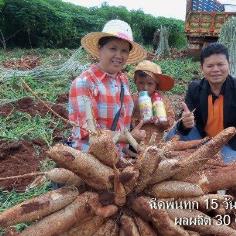 ซันฮีโร่ซันไคโตซาน