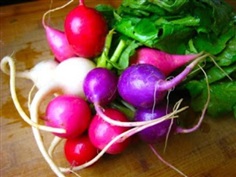 Mixed Easter Egg Radish