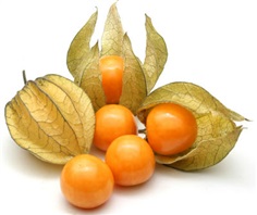 cape gooseberry (โทงเทงฝรั่ง)