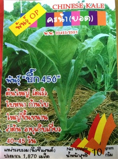 เมล็ดคะน้ายอด CHANESE KALE