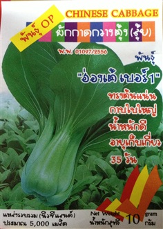 เมล็ดผักกาดกวางตุ้งลุ้ย CHINESE CABBAGE