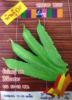 เมล็ดถั่วพู WINGED BEAN