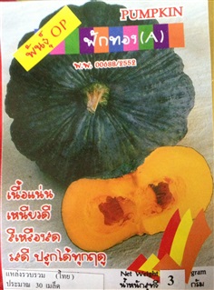 ฟักทอง (A) PUMPKIN