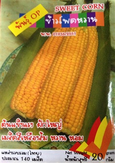 เมล็ดข้าวโพดหวาน SWEET CORN