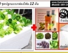 รหัส HH030:ชุดปลูกผักไฮโดรโปนิกส์Set 12 ช่องปลูก