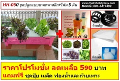 รหัส HH-060:ชุดปลูกผักHydro Hobby Set 7 ช่องปลูก(ปลูกผักสลัดได้ 7 ต้น ปลูกผักไทยได้ 14 ต้น)
