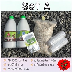 ชุดปลูกไฮโดรโปนิกส์ SET A