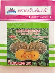 เมล็ดพันธุ์ฟักทองลูกผสม (ข้าวตอกทอง 35)