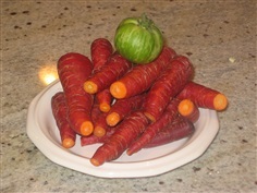 แครอทสีแดง - Atomic Red Carrot