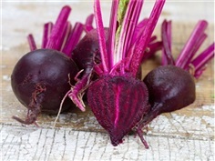 บีทเลือดกระทิง - Bull&#39;s Blood Beet