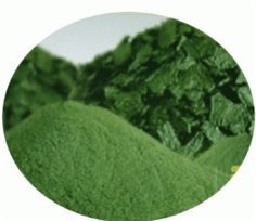 สาหร่ายเกลียวทอง สไปรูลิน่า เกรดอาหารสัตว์ Spirulina (Feed)