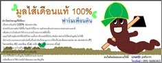 มูลไส้เดือนแท้ 100 เปอร์เซ็นต์