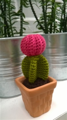 cactus 2&quot; (1)