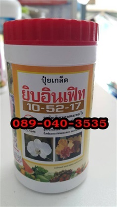 ยิบอินเฟิท10 52 17 (100กรัม)